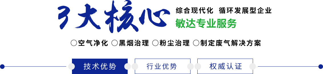 大鸡巴猛插大二舞蹈生网站敏达环保科技（嘉兴）有限公司